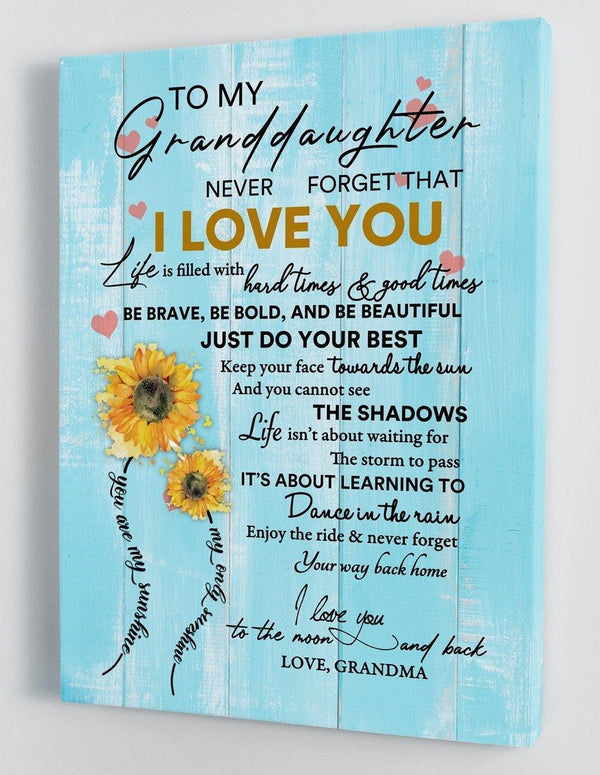 To My Granddaughter - From Grandma - Framed Canvas Gift GMD032 - DivesArt LLC